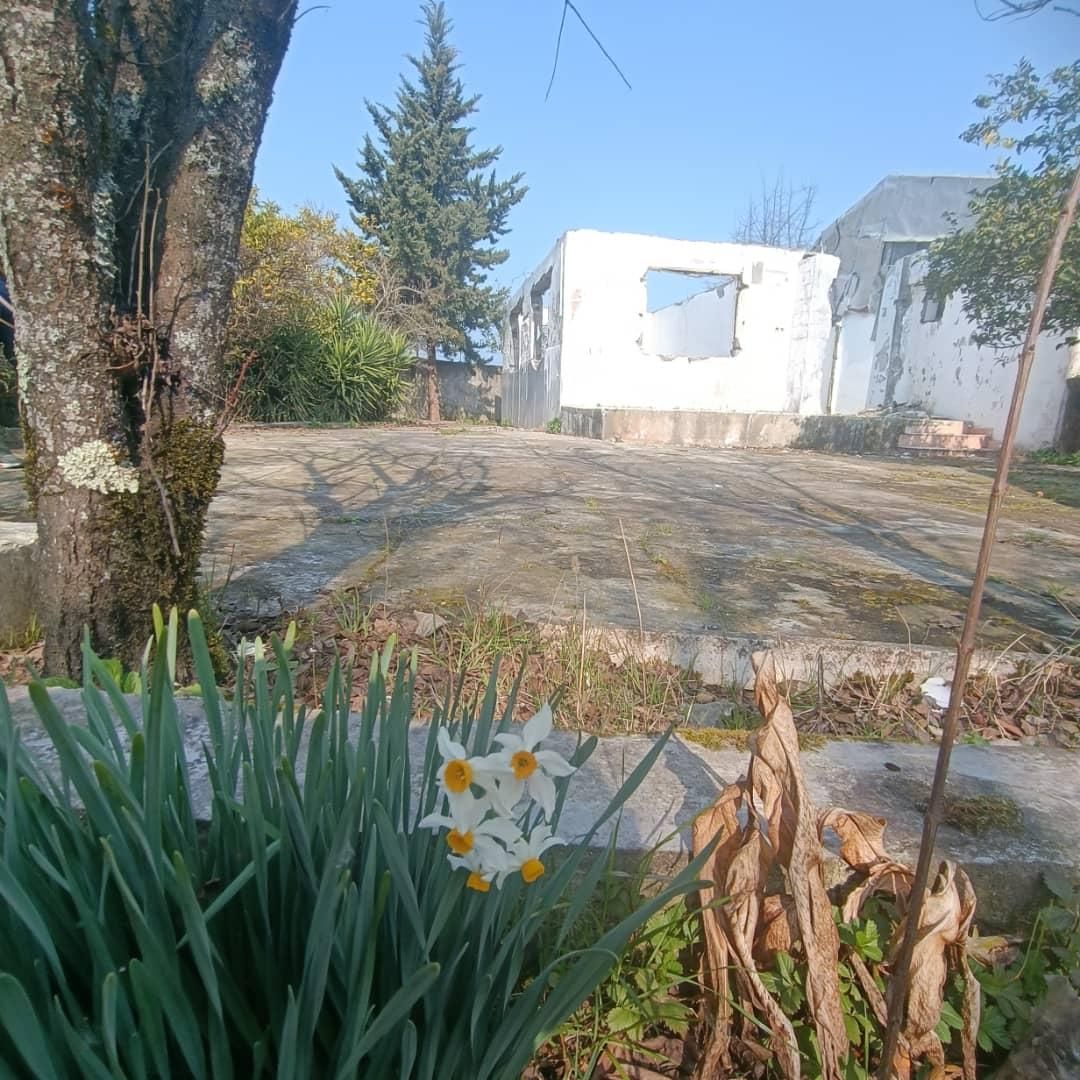 ۳۴۷مترزمین بابنای کلنگی وانشعابات ساحلی سندتک برگ|فروش زمین و ملک کلنگی|رضوانشهر, |دیوار