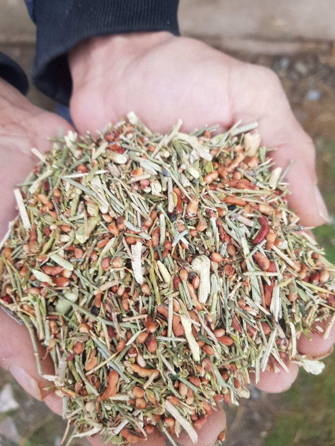 کاه خار داری|لوازم جانبی حیوانات|نیشابور, شهرک بسیج|دیوار