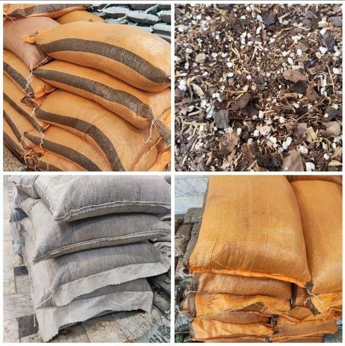 خاک خاکبرگ گلدان گل گیاه آپارتمانی کیسه گونی ورمی|گل و گیاه طبیعی|قم, نیروگاه|دیوار