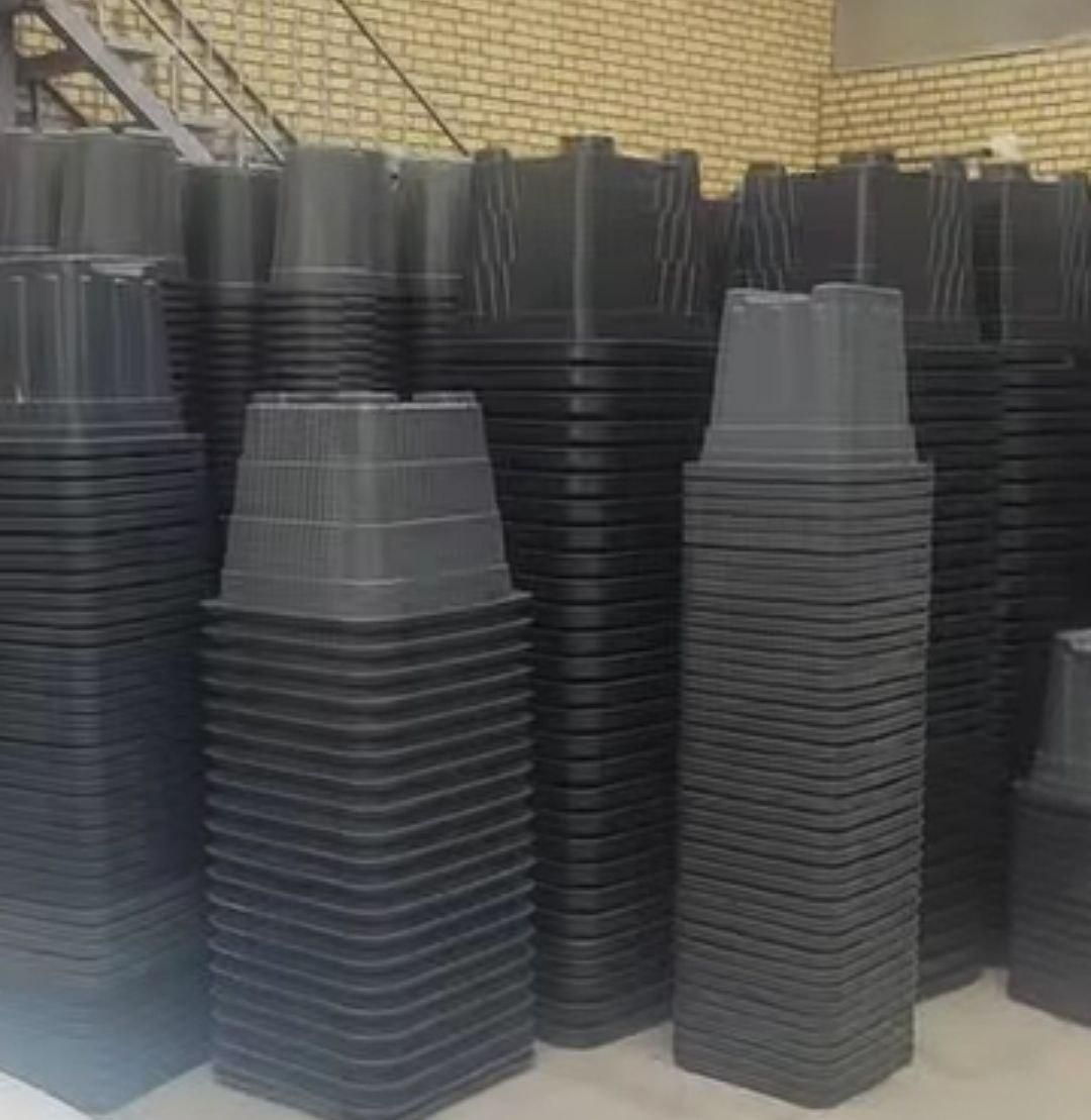 گلدان گلخانه ای نشا ارزان عمده اینترنتی|گل و گیاه طبیعی|رشت, بلوار گیلان|دیوار