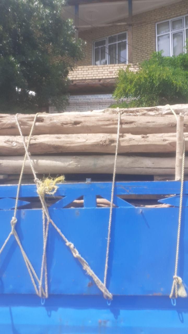 خریدار چوب|خدمات باغبانی و درختکاری|اردبیل, |دیوار