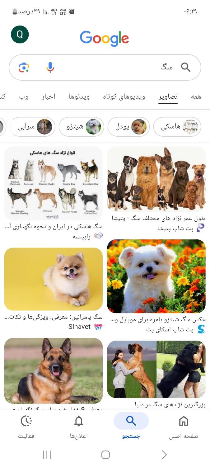 نگهداری سگ|خدمات پیشه و مهارت|چابکسر, |دیوار