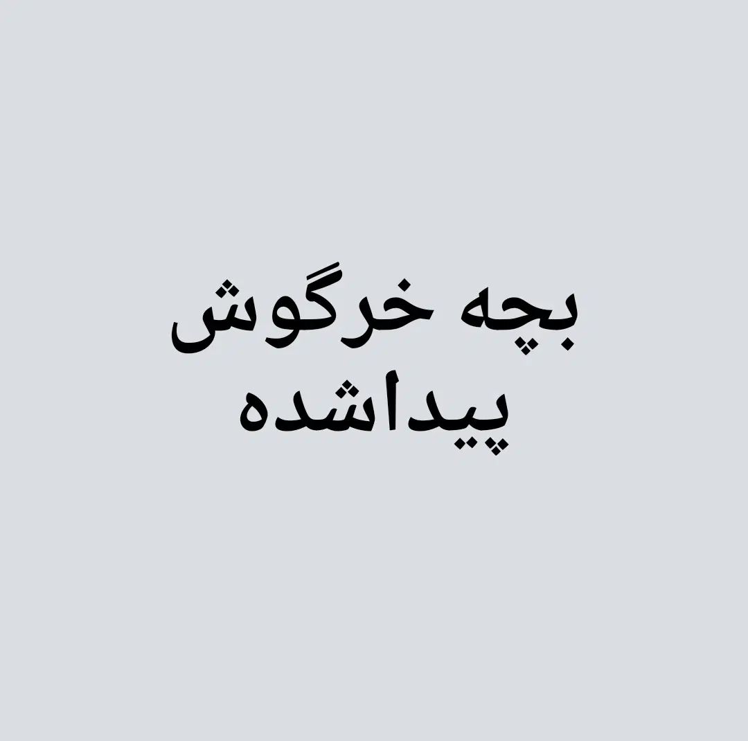 بچه خرگوش پیدا شده جمهوری|حیوانات|تهران, جمهوری|دیوار