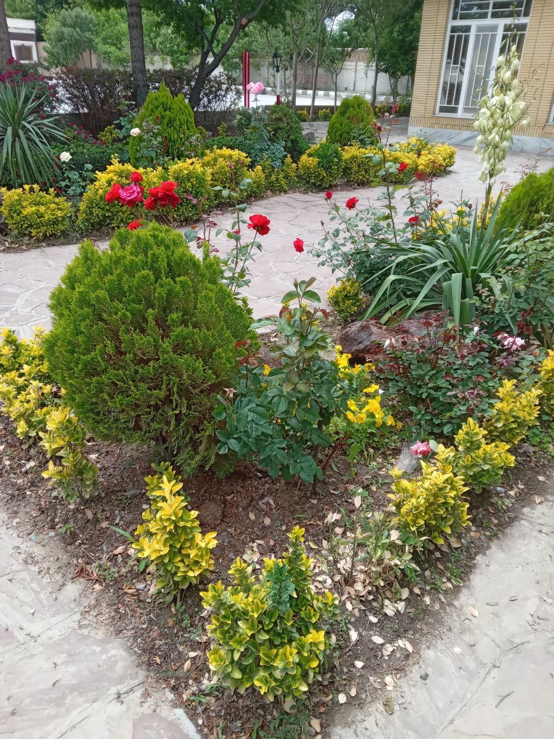 خدمات باغبانی و فضای سبز گل چمن نهال هرس و...|خدمات باغبانی و درختکاری|مشهد, توس (بلوار توس)|دیوار