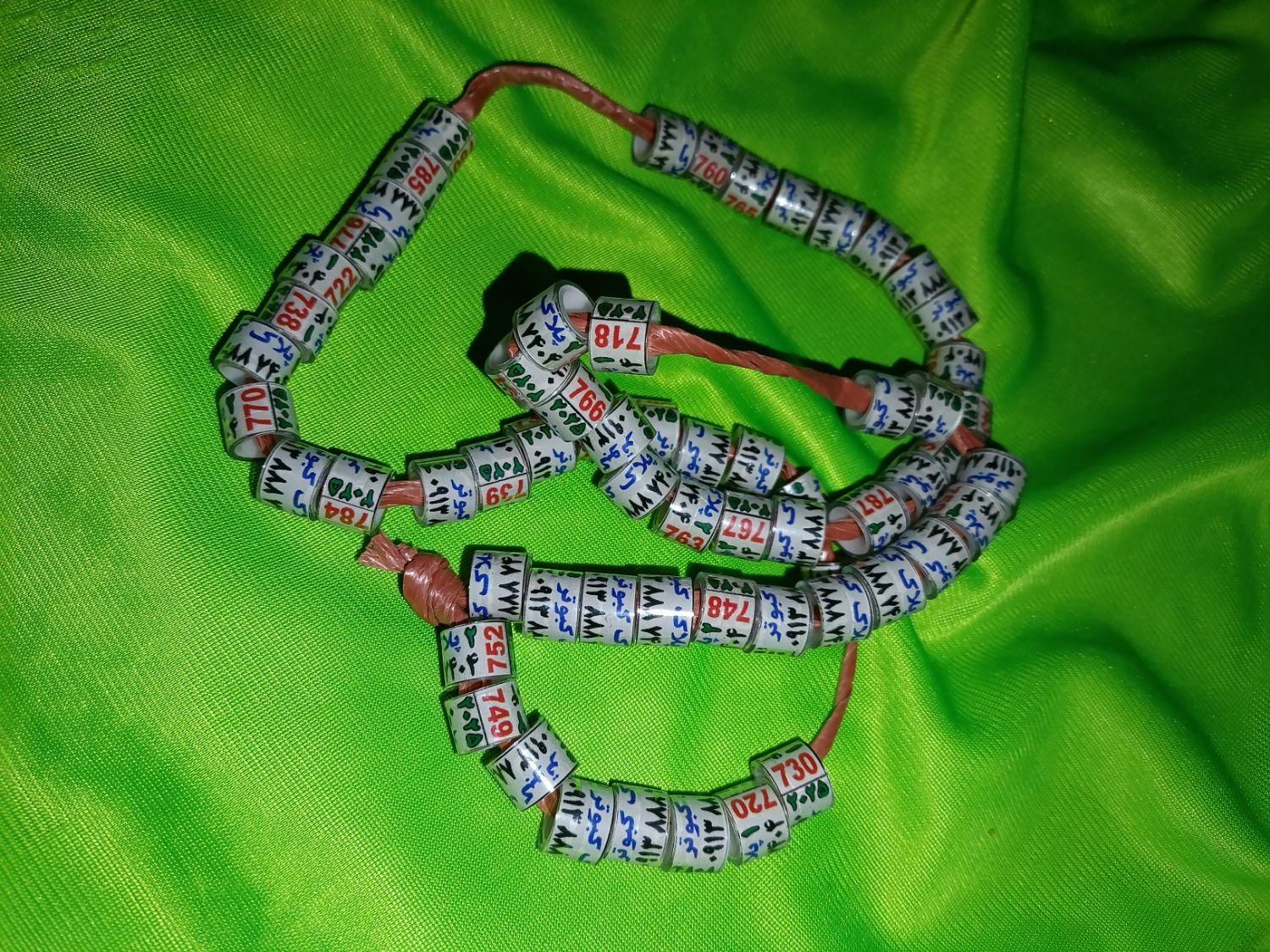 شماره پلاک کبوتر ساده|لوازم جانبی حیوانات|شیراز, طلاب|دیوار