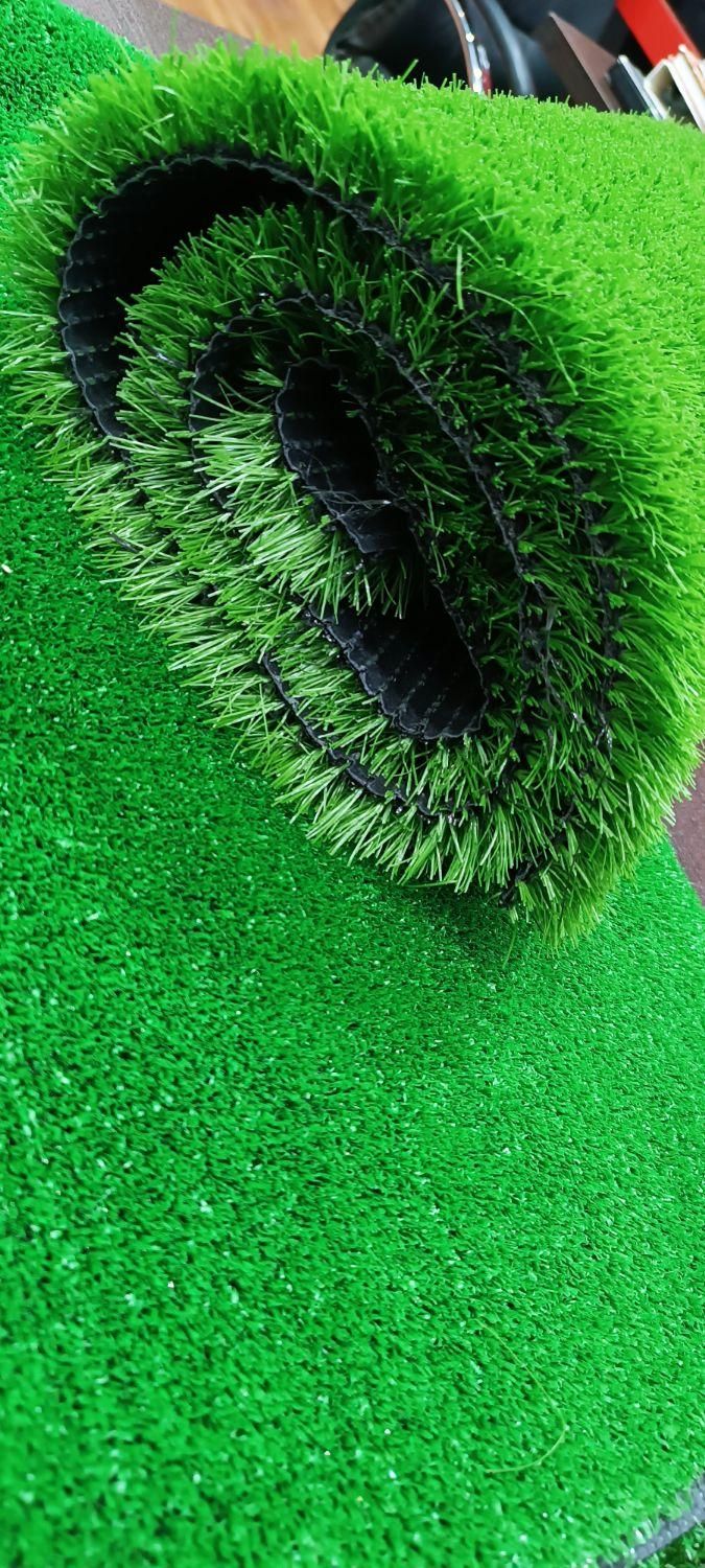 دیوارسبز . آکاردائونی .چمن مصنوعی . گرین وال|خدمات باغبانی و درختکاری|نجف‌آباد, گلدشت|دیوار