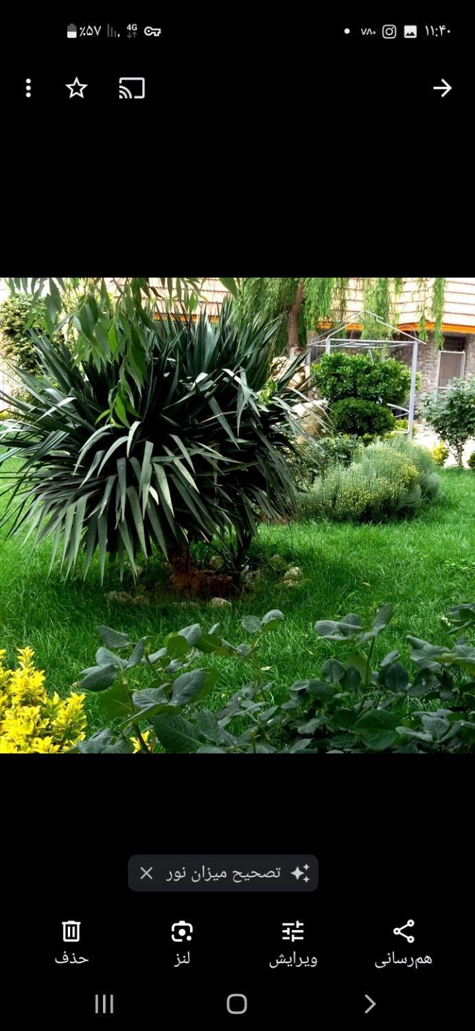 خدمات باغبانی ( گل وگیاه باغچه ای، آپارتمانی)|خدمات باغبانی و درختکاری|تهران, نیروی هوایی (پیروزی)|دیوار