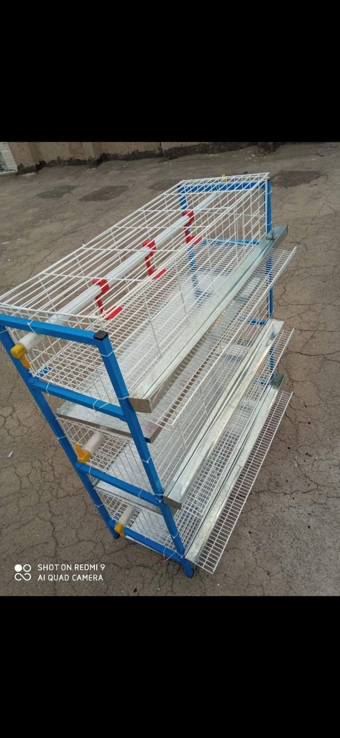 قفس مرغ تخمگذار ،قفس بلدرچین ،کبک|لوازم جانبی حیوانات|قم, نیروگاه|دیوار