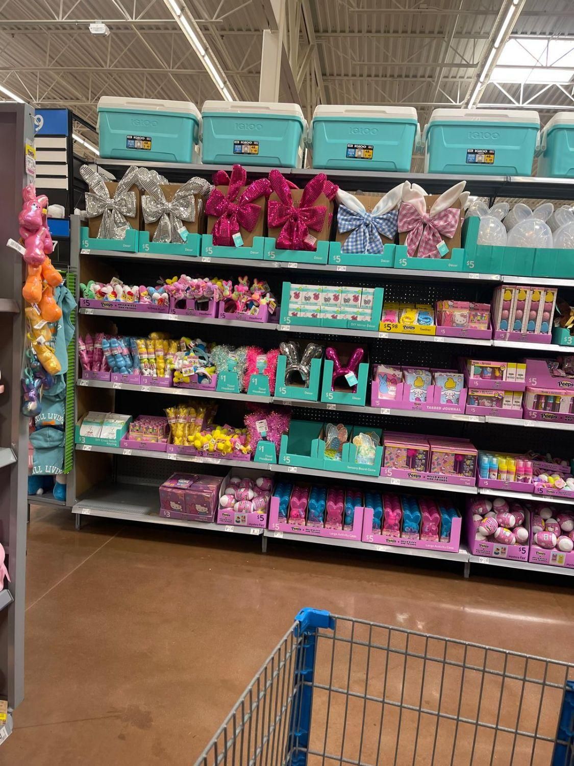 استخدام مدل خانم جهت تولید محتوای اینستا|استخدام رایانه و فناوری اطلاعات|تهران, میرداماد|دیوار