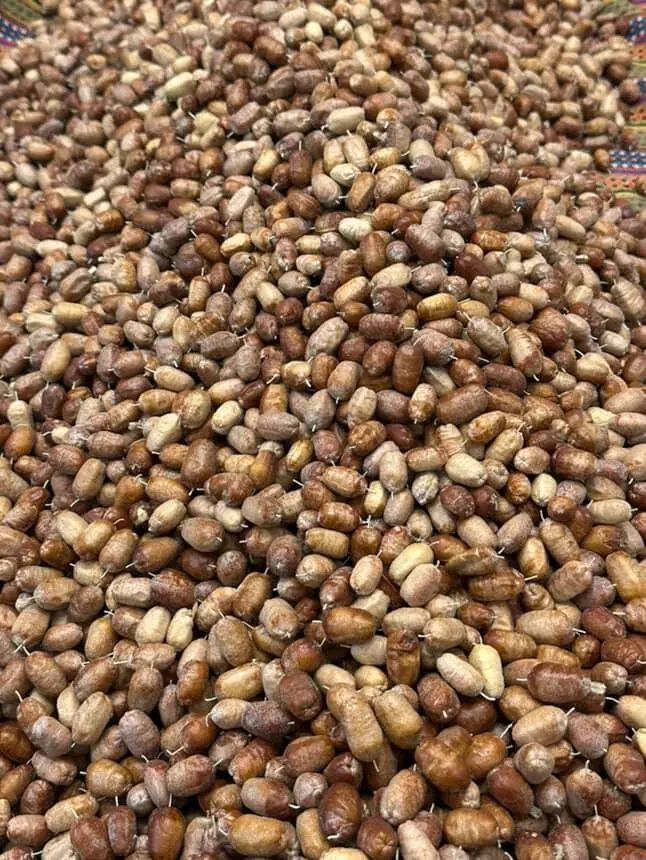 سنجد تازه|خوردنی و آشامیدنی|تهران, شهرک ولیعصر شمالی|دیوار