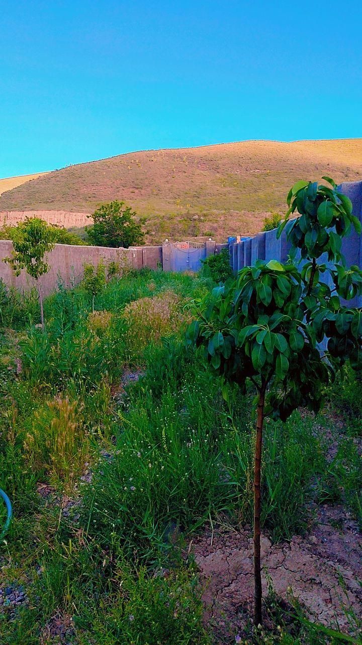 باغ درروستای عارفی|فروش خانه و ویلا|مشهد, رباط طرق|دیوار