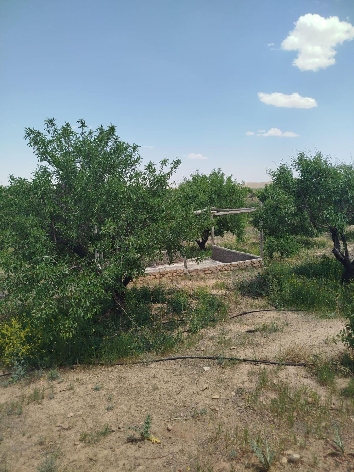 فروش باغ۵۶۰ متری محدوده پل زمانخان روستایی ش|فروش زمین و ملک کلنگی|اصفهان, آزادگان|دیوار