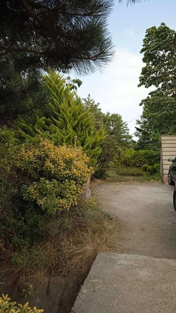 اجاره ویلا سویت کوتاه مدت|اجارهٔ کوتاهمدت ویلا و باغ|رودسر, |دیوار