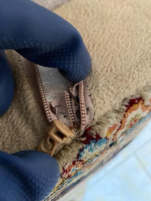 سمپاشی منازل سوسک ساس تضمینی بامجوز رسمی|خدمات نظافت|صفادشت, |دیوار