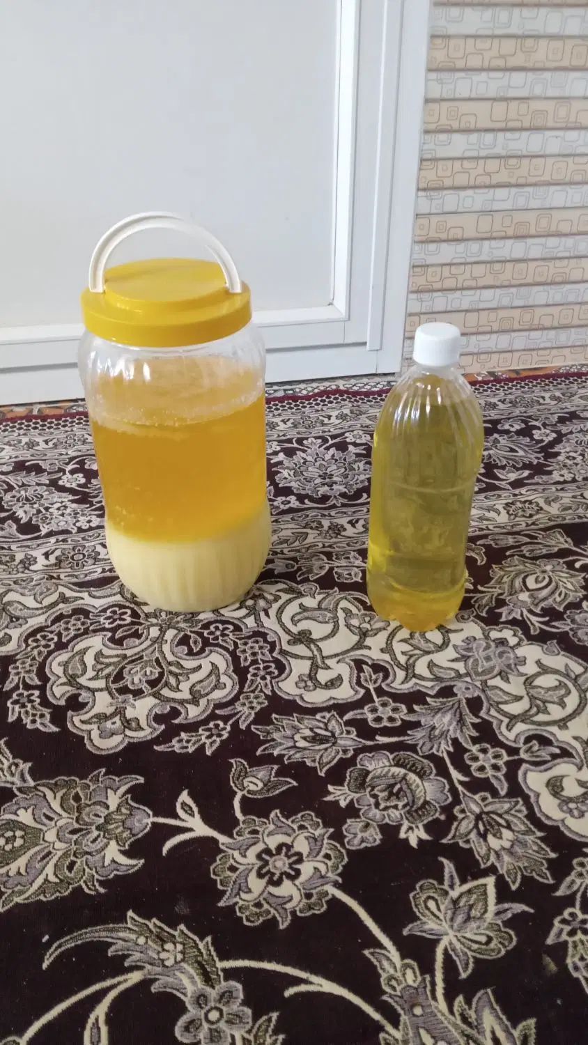 روغن گوسفندی و  گاو  تازه درست کردم|خوردنی و آشامیدنی|تهران, آجودانیه|دیوار
