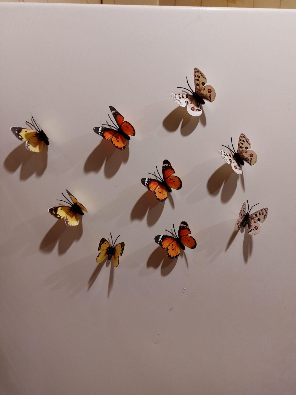 پروانه تزیینی آهن ربایی قابل شستشو با ارسال|صنایع دستی و سایر لوازم تزئینی|تهران, مجیدیه|دیوار