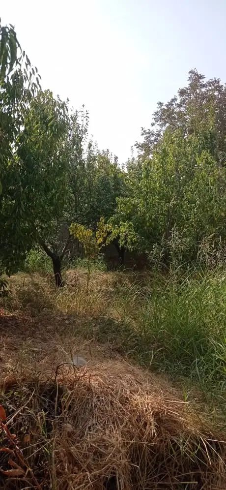 ۲۱۵مترباغچه ۴دیواری*شهرکی*اسفالت*بکه شهریار|فروش خانه و ویلا|شهریار, بکه|دیوار