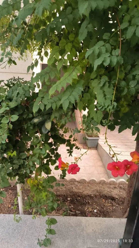 (بهترین دسترسی تراس بزرگ) ملک الشعرا فاز۸|فروش آپارتمان|پردیس, فاز ۸|دیوار