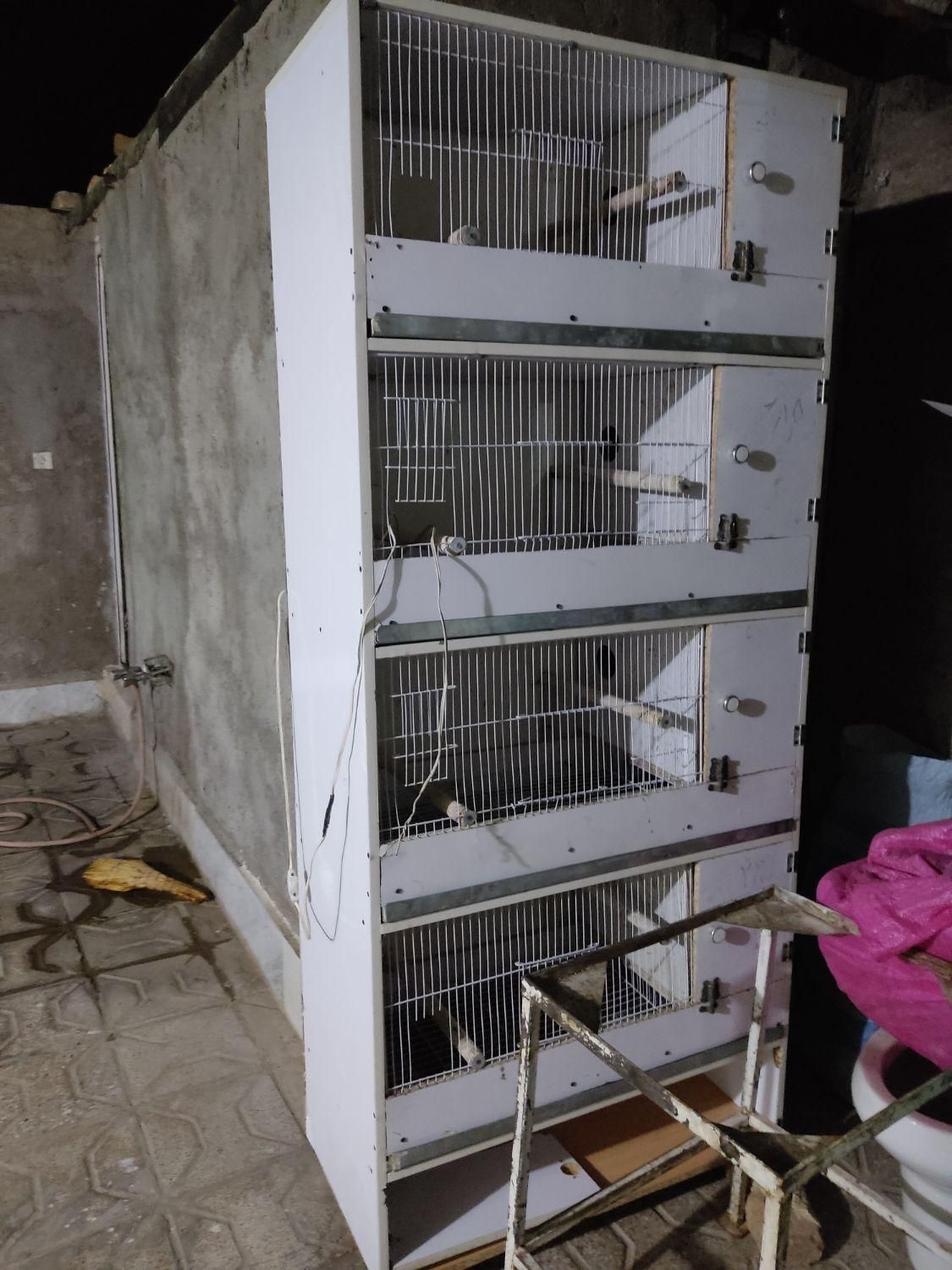 کمد پرنده|لوازم جانبی حیوانات|مشهد, کوی المهدی|دیوار