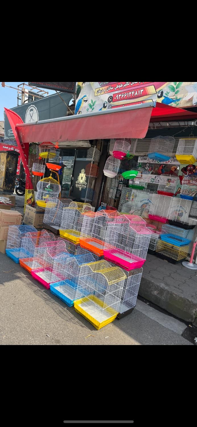 قفس|لوازم جانبی حیوانات|رشت, شهریاران|دیوار