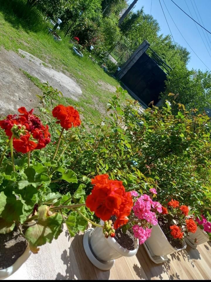 اجاره ویلا جنگلی،روستایی پدربزرگ با نمای سنتی|اجارهٔ کوتاهمدت ویلا و باغ|شفت, |دیوار