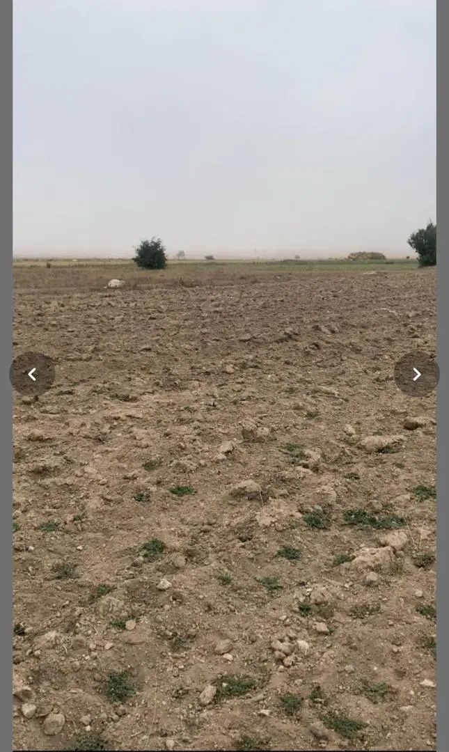 فروش دو قطعه زمین کشاورزی در خرمنلر روستای پیرنق|فروش زمین و ملک کلنگی|نیر (اردبیل), |دیوار