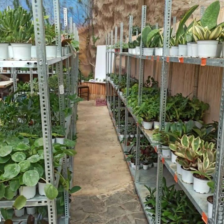 قفسه طرح قدیمی پیچ و مهره ای طوسی|فروشگاه و مغازه|آمل, |دیوار