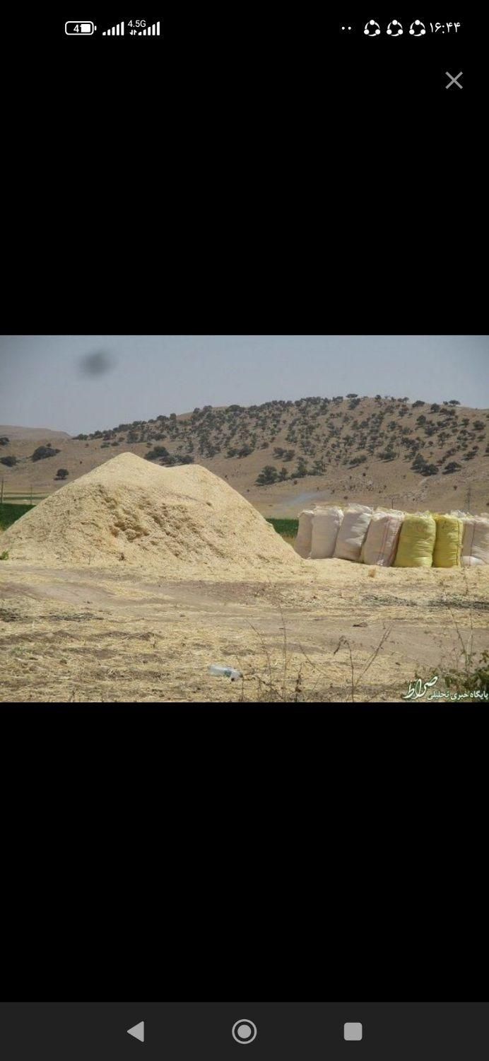 کاه|خدمات باغبانی و درختکاری|دورود, |دیوار