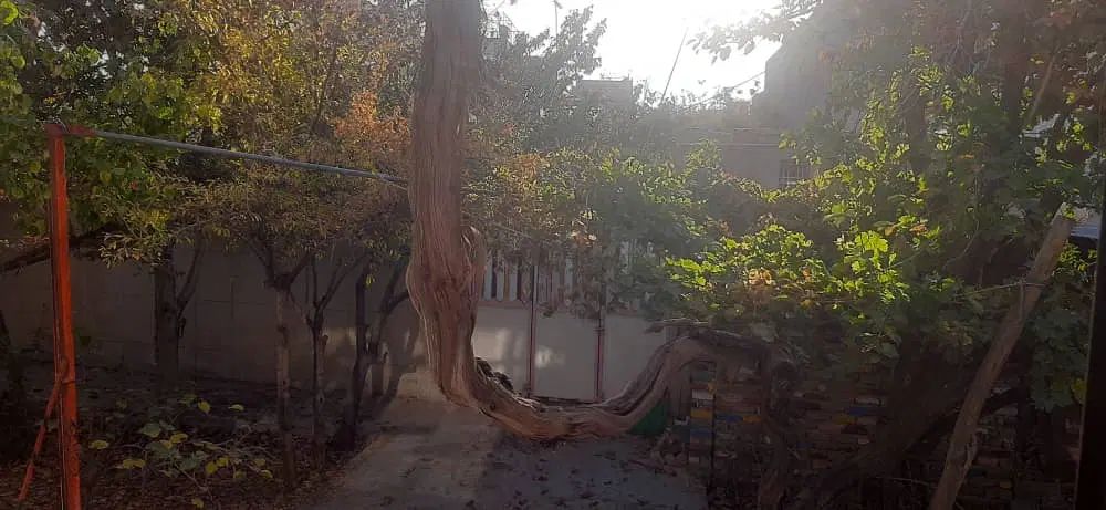 اجاره خانه ویلایی 500 متری ۵ خوابه در منجیل آباد|اجارهٔ خانه و ویلا|رباط‌کریم, منجیل آباد|دیوار
