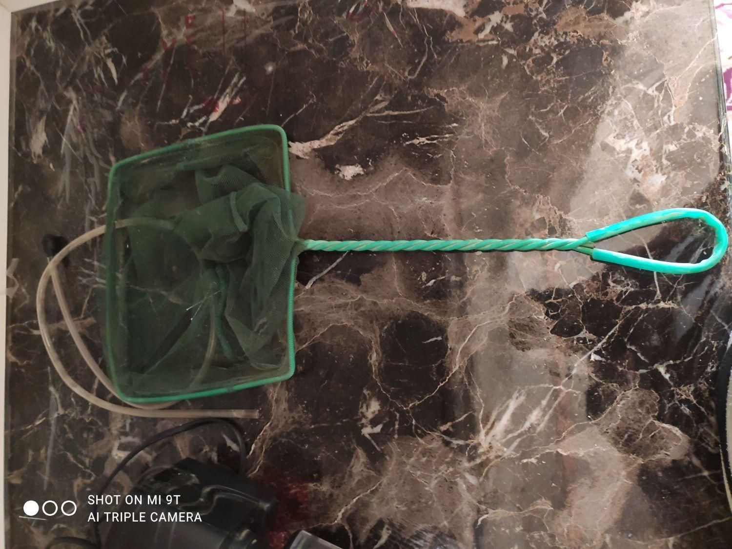 لوازم آکواریوم|ماهی|فردیس, فردیس|دیوار