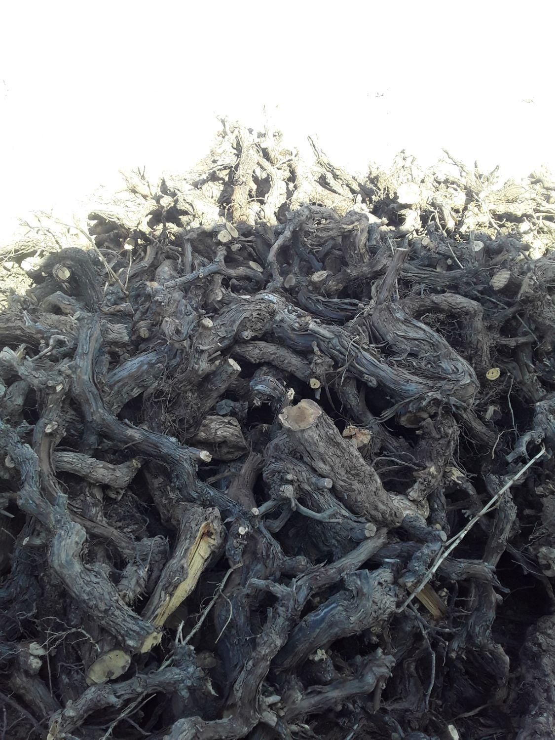 خریدار چوب|خدمات باغبانی و درختکاری|تاکستان, |دیوار