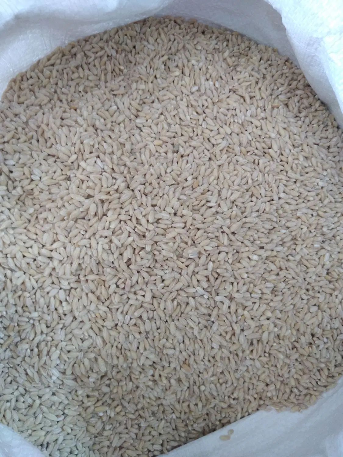 جو درجه یک حراج|خوردنی و آشامیدنی|کرج, شهرک اوج|دیوار