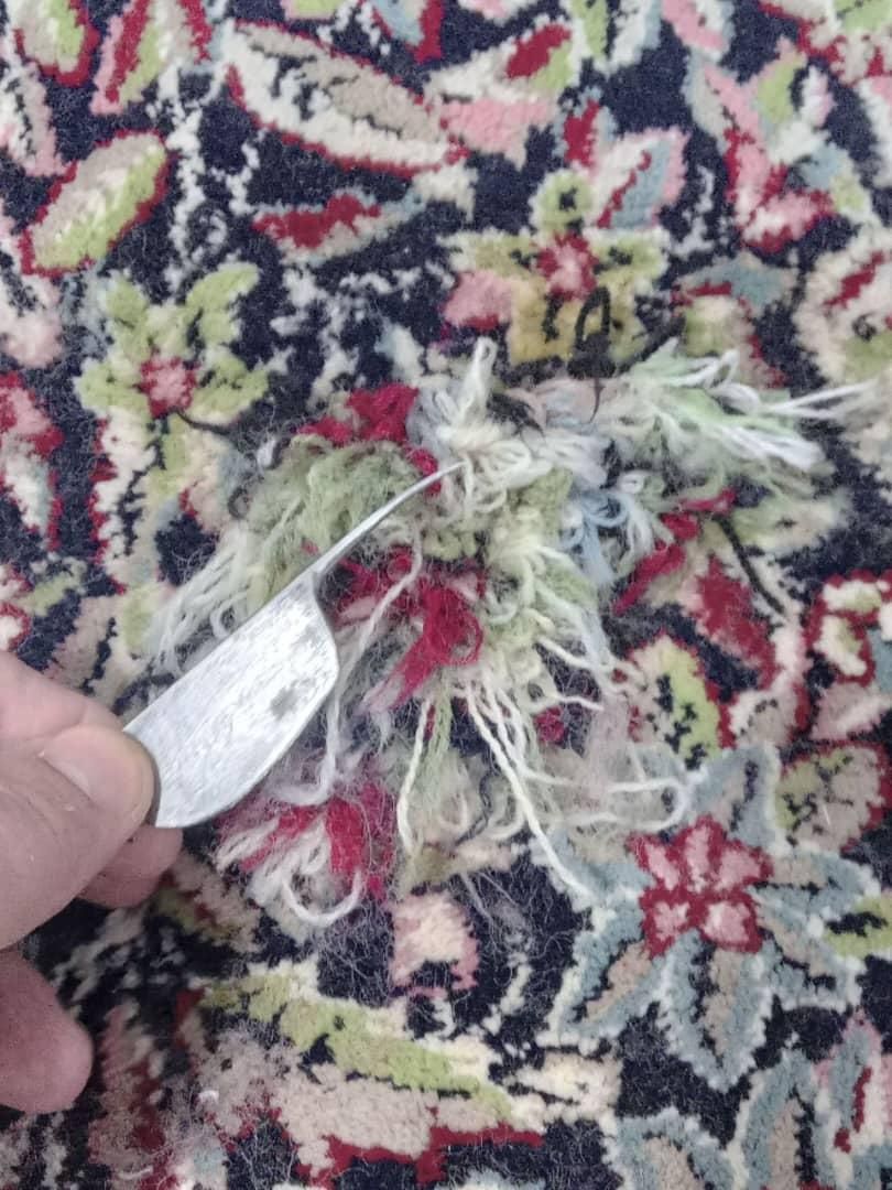 قالیشویی و مبل شویی ابریشم|خدمات نظافت|لاهیجان, لیالستان|دیوار