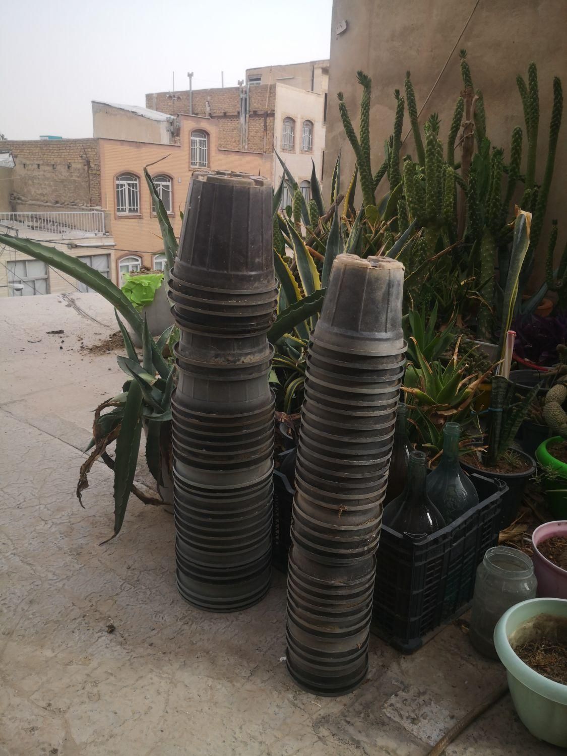 تعدادی گلدان پلاستیکی سطل 3.وگلدان 14|گل و گیاه طبیعی|کرج, دهقان ویلا|دیوار