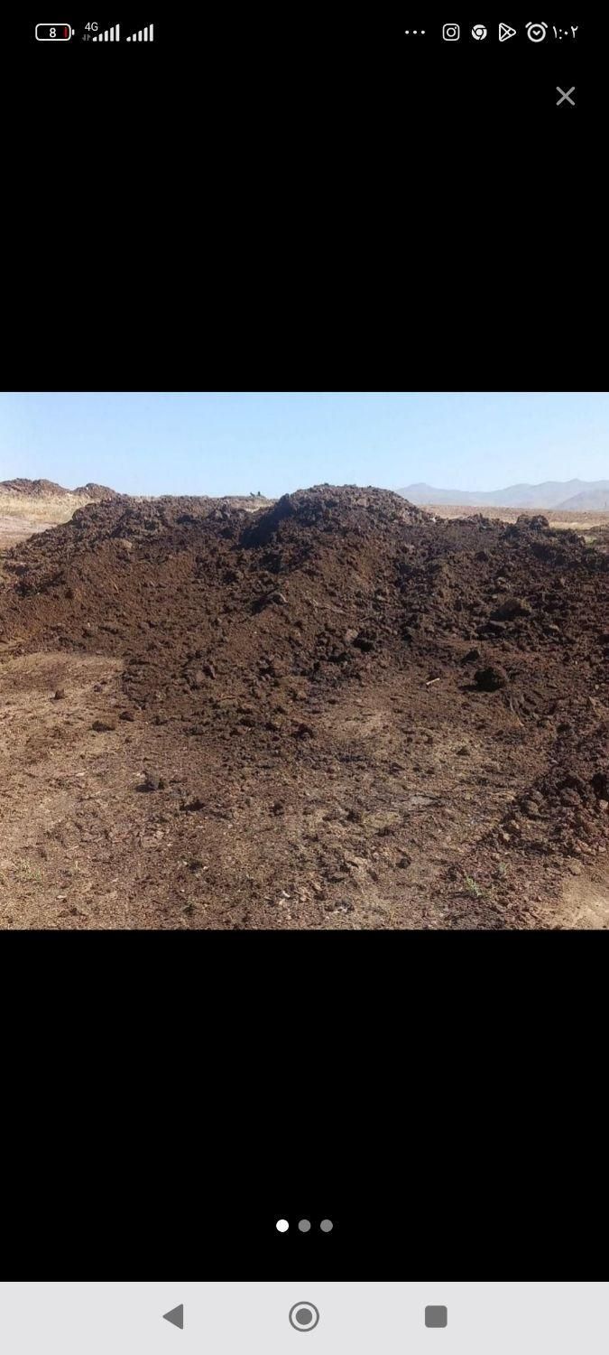 فروش کود گاوی|گل و گیاه طبیعی|پادنا علیا, |دیوار