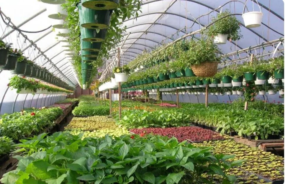 سرمایه گذار برای ساخت گلخانه ارگانیک می خوام|مشارکت در ساخت املاک|کرمانشاه, |دیوار