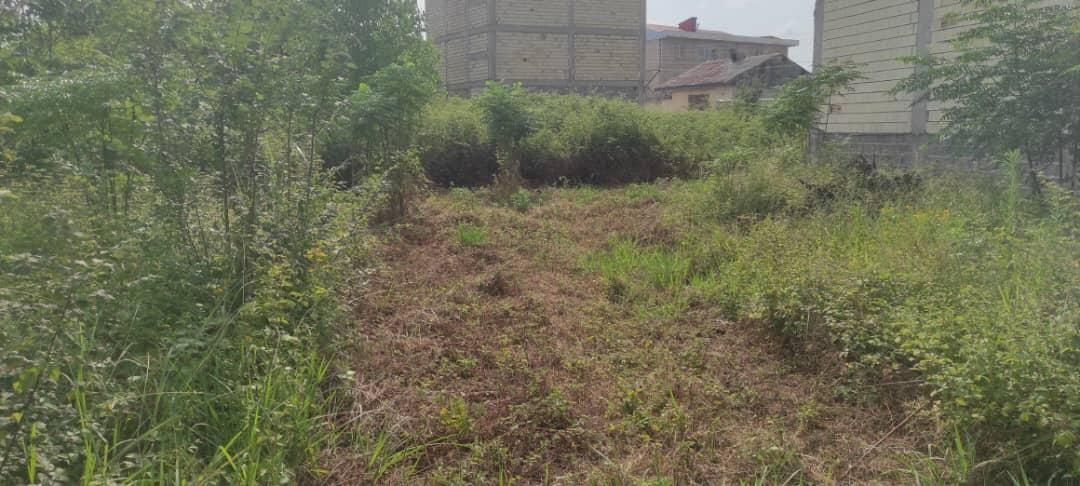 فروش فوری/زمین مسکونی/شهررشت/موقعیت عا،لی|فروش زمین و ملک کلنگی|رشت, فرزانه|دیوار