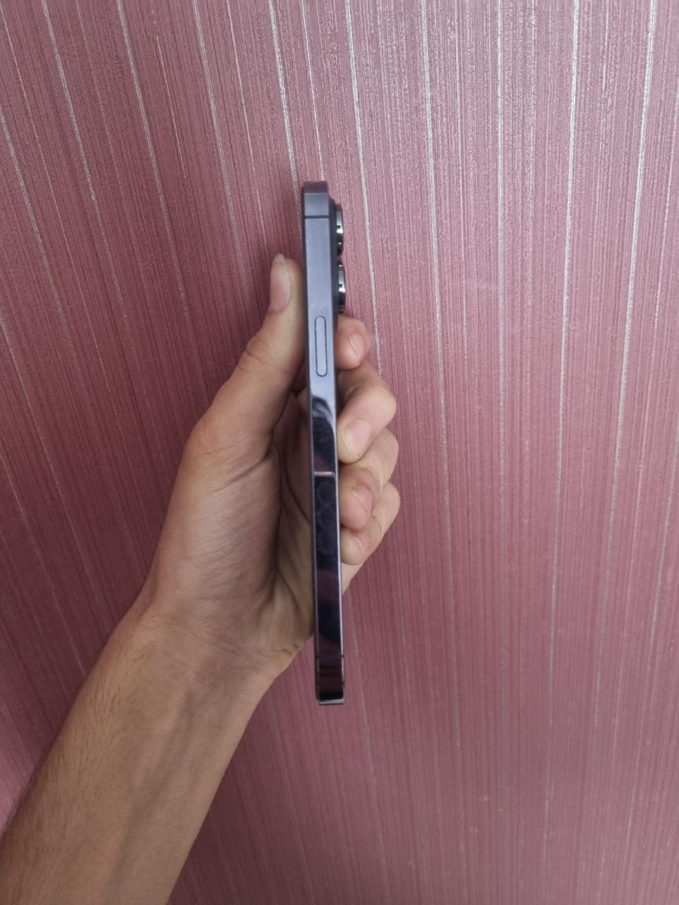 اپل iPhone 14 Promax با حافظهٔ 256 گیگابایت|موبایل|شیراز, زند|دیوار