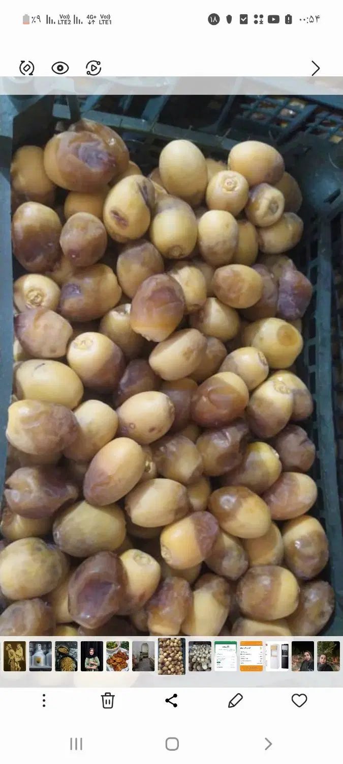 خارک ورطب ابادان|خوردنی و آشامیدنی|اصفهان, نقش جهان|دیوار