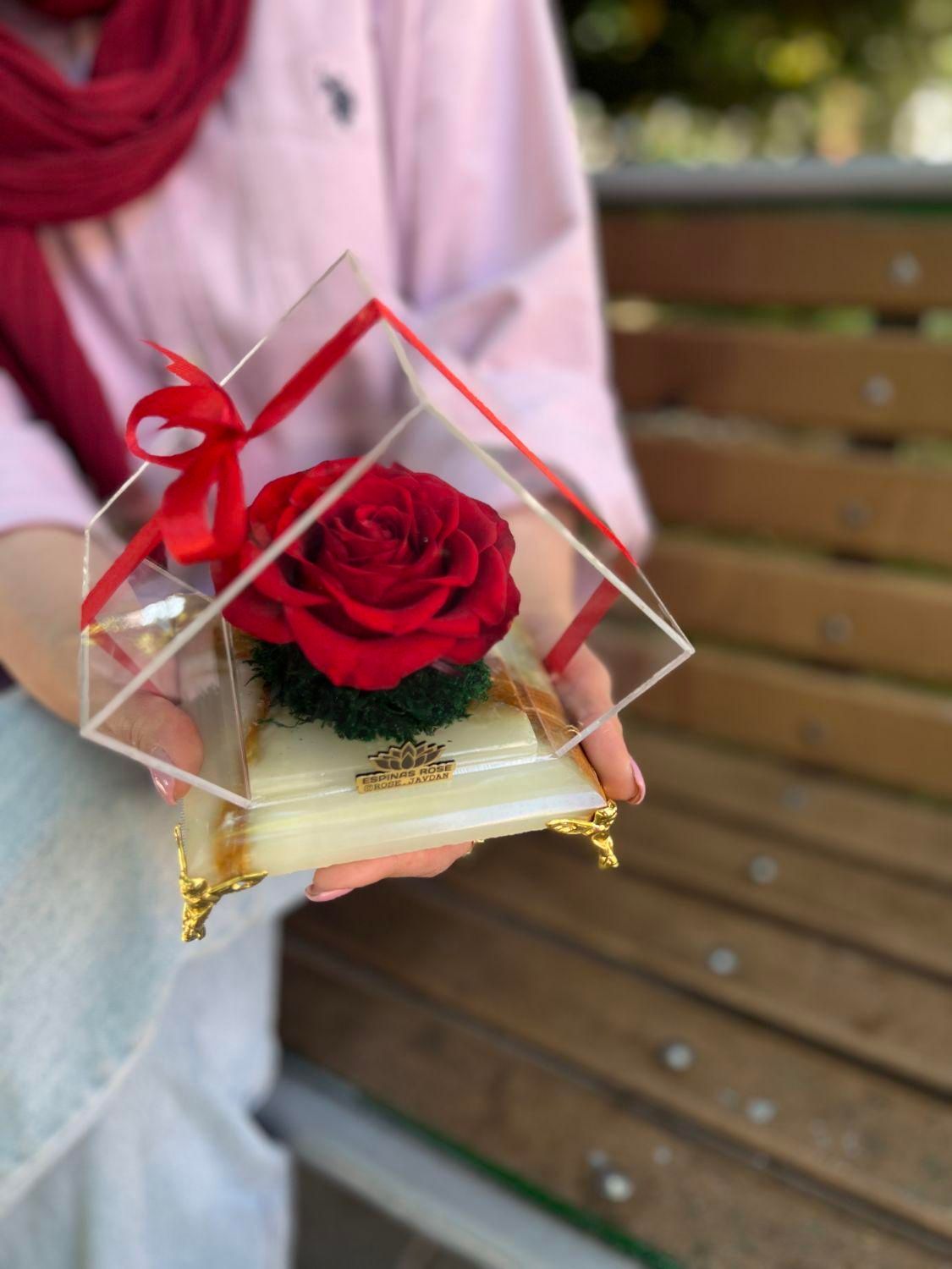 باکس گل رز جاودان سنگی با گل سایز بزرگ کد ۲۳|گل و گیاه طبیعی|تهران, میدان ولیعصر|دیوار