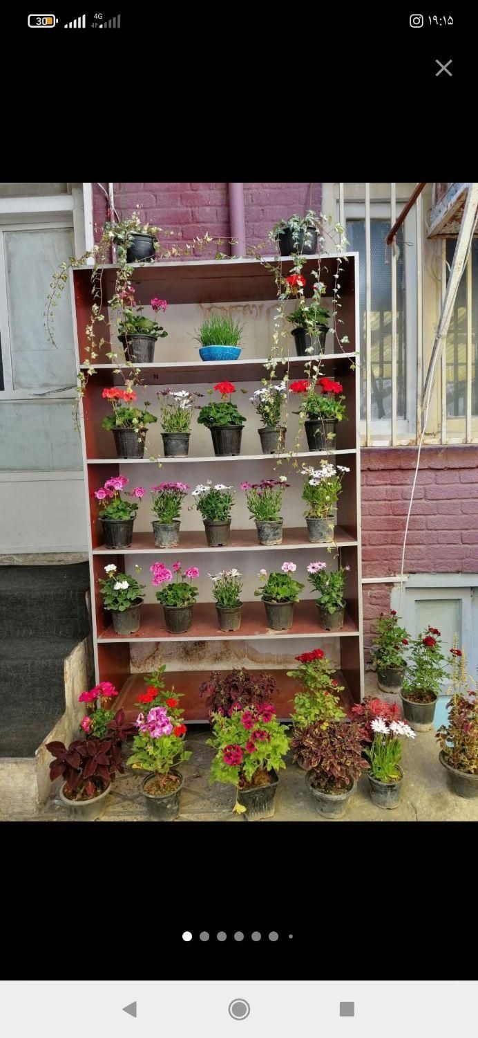 خوابگاه پسرانه مهمانپذیر اقامتگاه پانسیون|اجارهٔ کوتاهمدت آپارتمان و سوئیت|تهران, فلسطین (میدان انقلاب)|دیوار