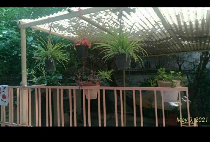 خوابگاه دخترانه، اقامتگاه ، پانسیون|اجارهٔ کوتاهمدت آپارتمان و سوئیت|تهران, بلوار کشاورز|دیوار