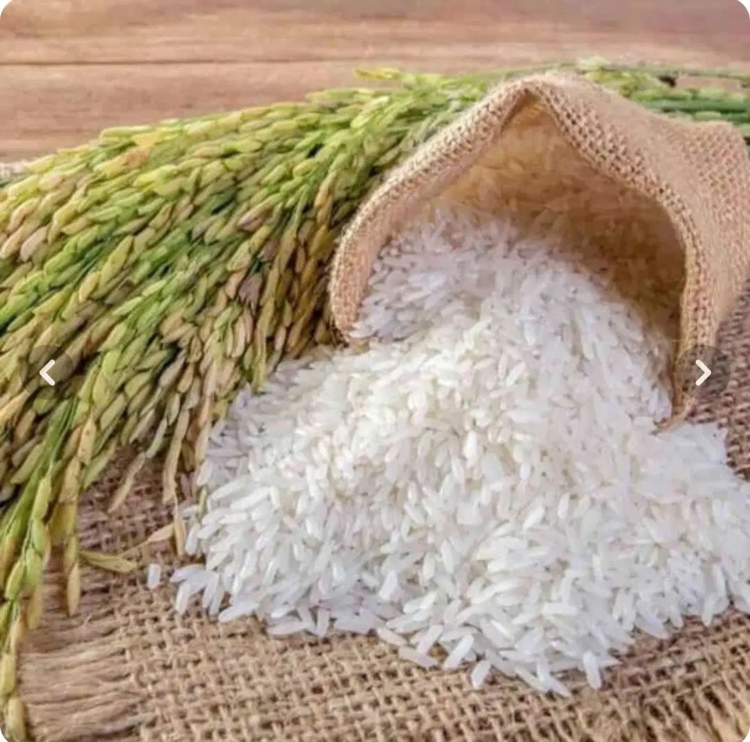 برنج هاشمی دو الکه  درجه ۱ از مزرعه شالیزار|خوردنی و آشامیدنی|صومعه‌سرا, |دیوار