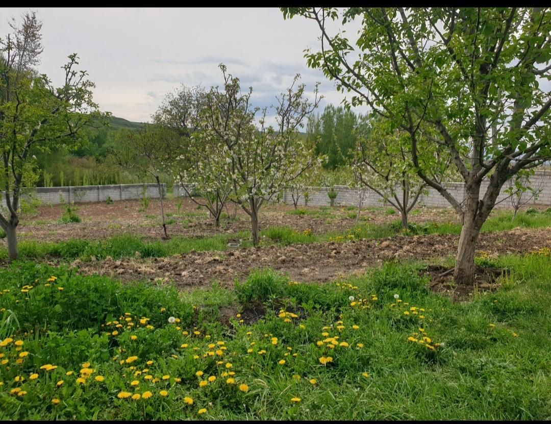 فروش باغ ۲۰۰۰ متری در روستای آلوچ،باامتیازات ویژه|فروش زمین و ملک کلنگی|مشگین شهر, |دیوار