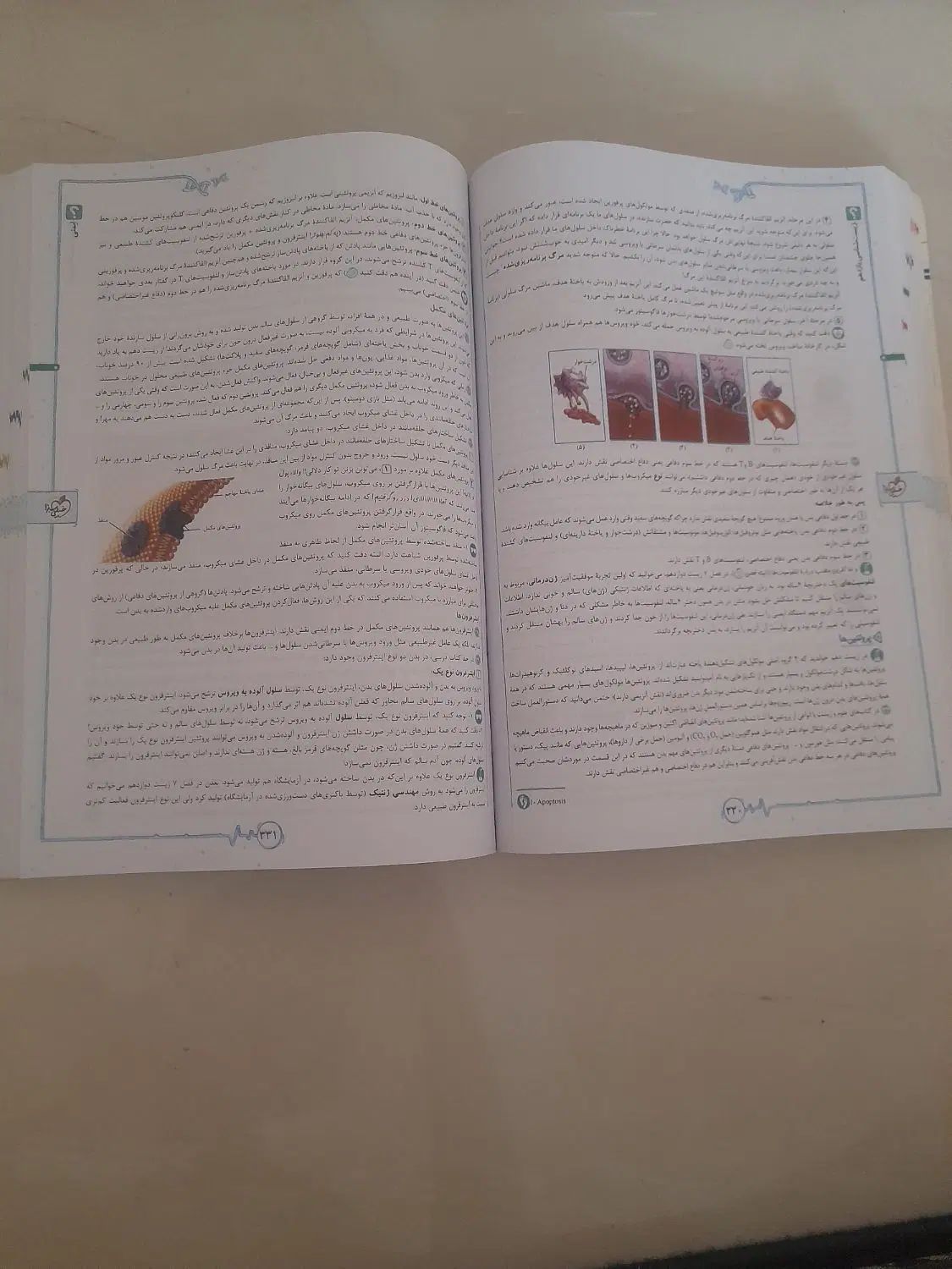 کتاب زیست یازدهم خیلی سبز تجربی|کتاب و مجله آموزشی|مشهد, توس (بلوار توس)|دیوار