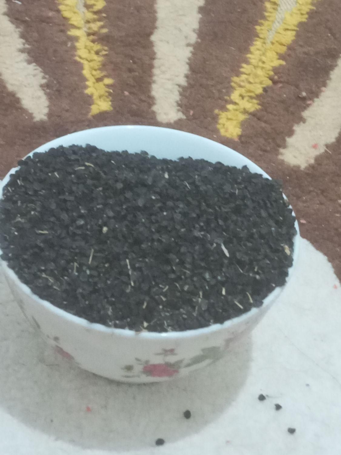 فروش بذر پیاز،مینروا|گل و گیاه طبیعی|جیرفت, |دیوار