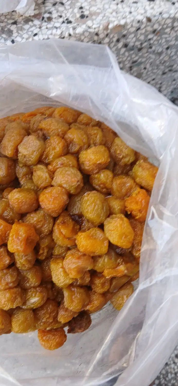 الو کبرای بخارا خرید مستقیم کشاورز|خوردنی و آشامیدنی|مشهد, موسوی قوچانی|دیوار