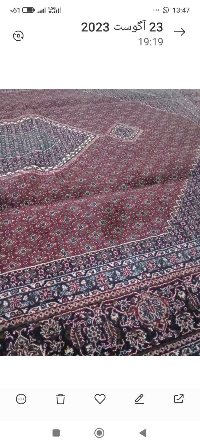 یک عدد فرش 12متری ریز ماهی کردستان|فرش|کرمانشاه, |دیوار