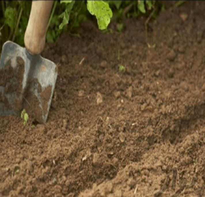 خاک باغچه و باغ مرغوب و حاصل خیز|خدمات باغبانی و درختکاری|شیراز, قصرالدشت|دیوار