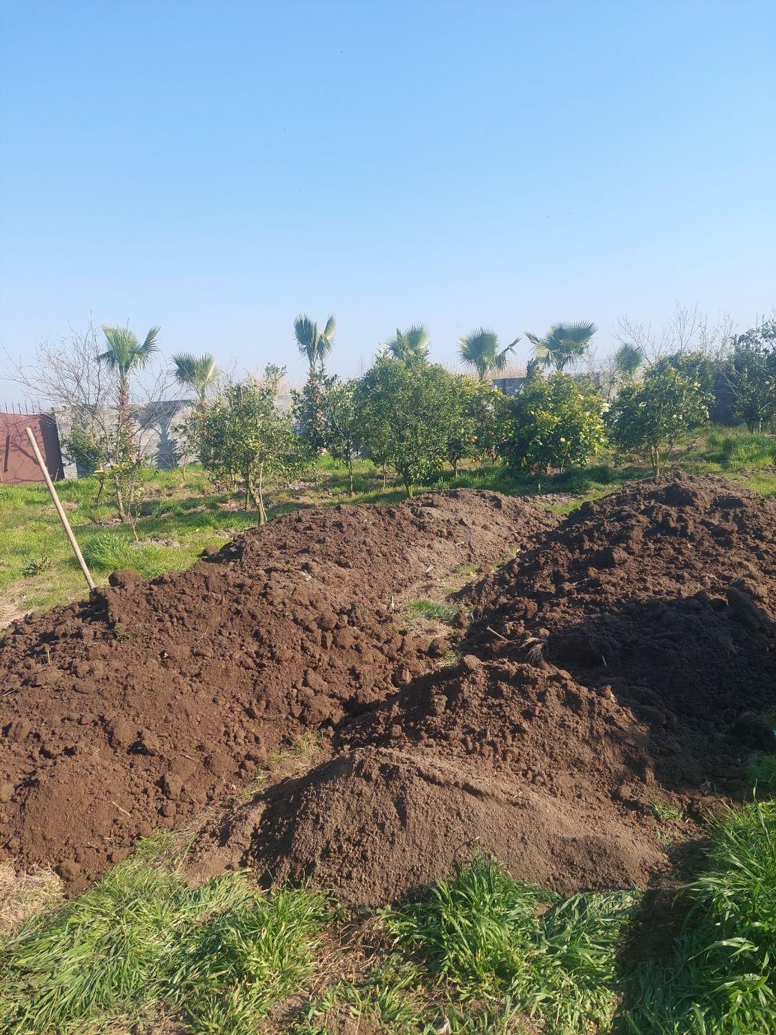 خاک باغچه ای درجه یک|خدمات باغبانی و درختکاری|محمودآباد, |دیوار